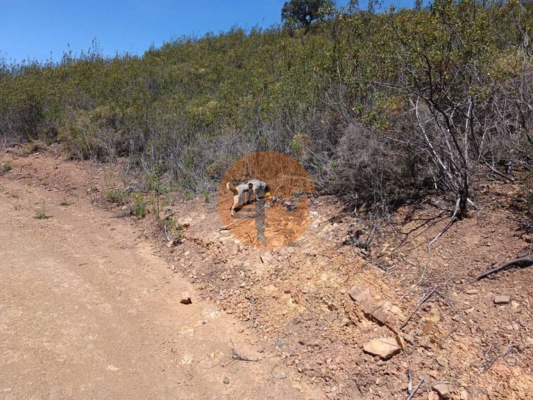 Plot for Sale in Azinhal, Castro Marim, Portugal 1