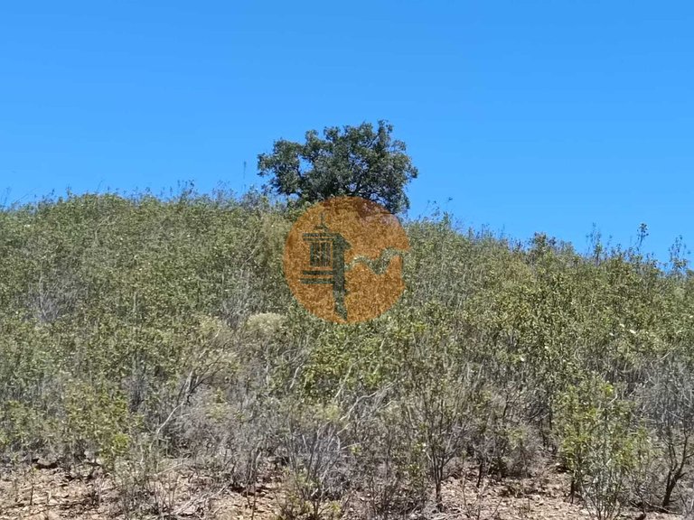 Plot for Sale in Azinhal, Castro Marim, Portugal 4