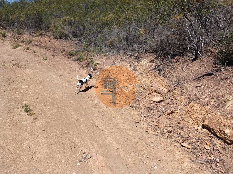 Plot for Sale in Azinhal, Castro Marim, Portugal 5