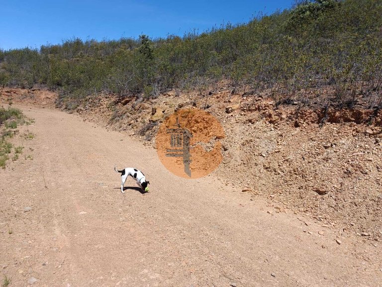 Plot for Sale in Azinhal, Castro Marim, Portugal 14