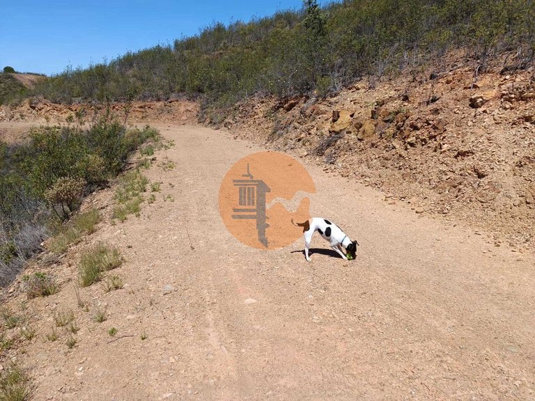Plot for Sale in Azinhal, Castro Marim, Portugal 15