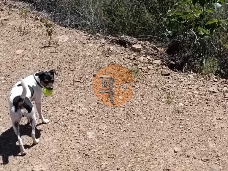 Plot for Sale in Azinhal, Castro Marim, Portugal 17