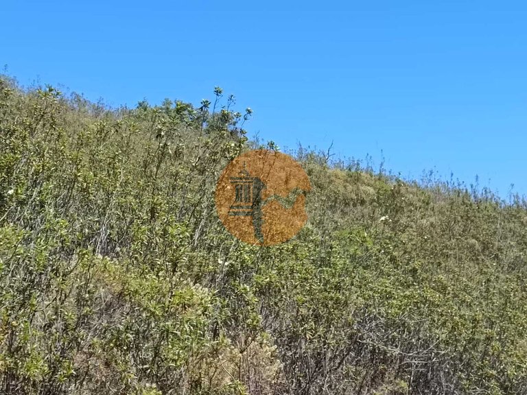 Plot for Sale in Azinhal, Castro Marim, Portugal 19