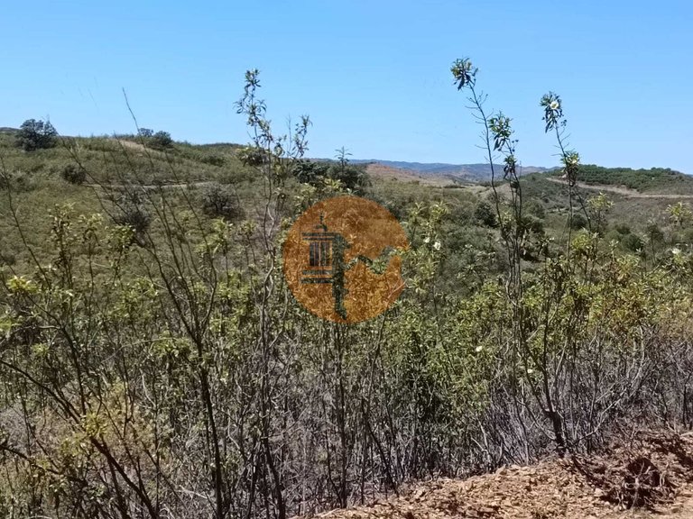 Plot for Sale in Azinhal, Castro Marim, Portugal 23