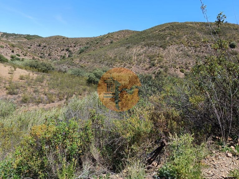 Plot for Sale in Azinhal, Castro Marim, Portugal 7