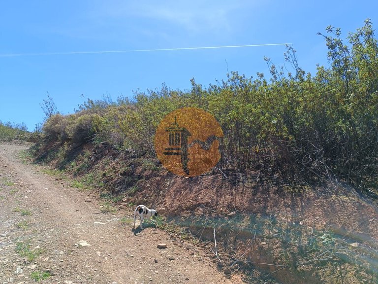 Plot for Sale in Azinhal, Castro Marim, Portugal 8