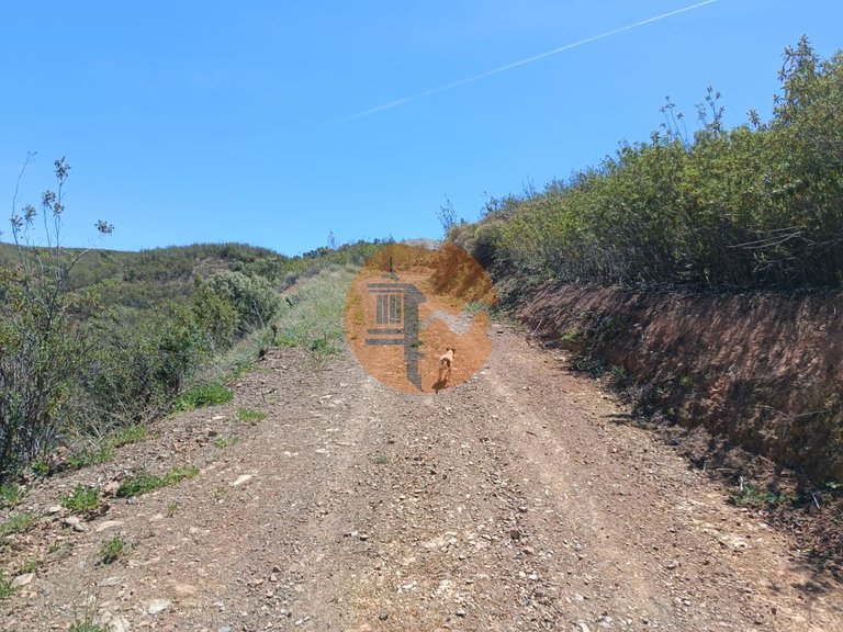 Plot for Sale in Azinhal, Castro Marim, Portugal 9