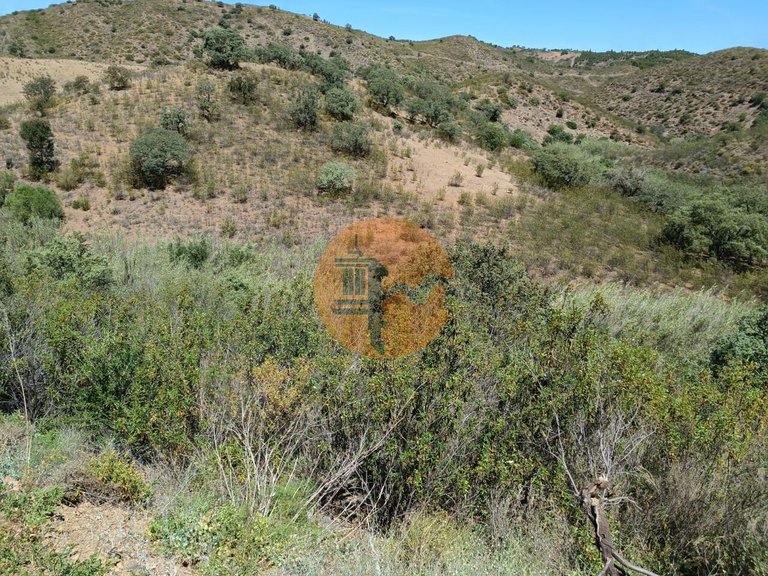 Plot for Sale in Azinhal, Castro Marim, Portugal 4
