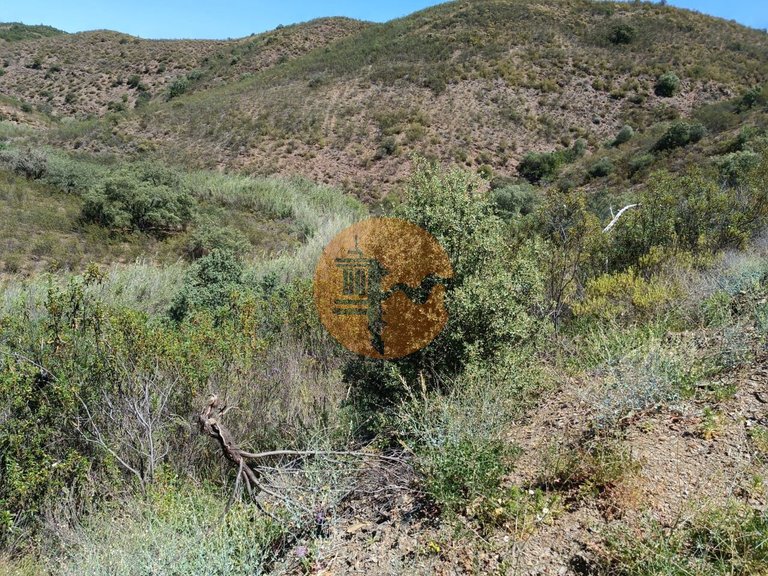 Plot for Sale in Azinhal, Castro Marim, Portugal 12