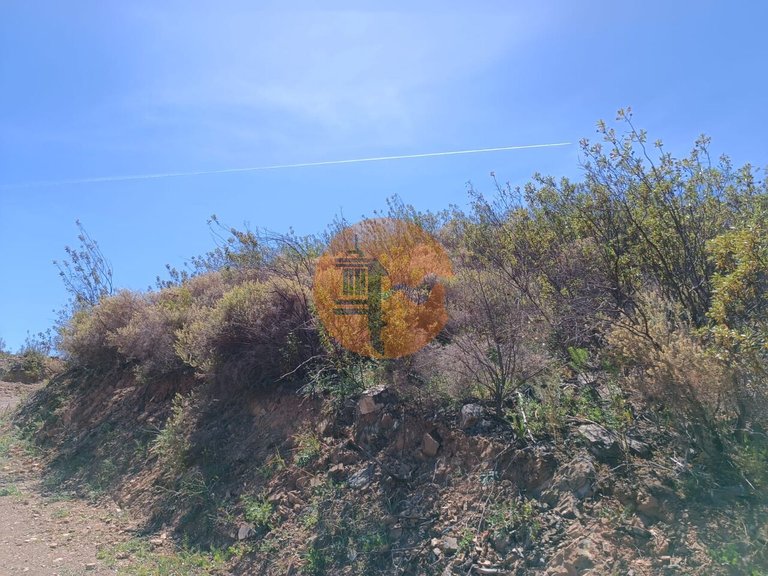 Plot for Sale in Azinhal, Castro Marim, Portugal 13
