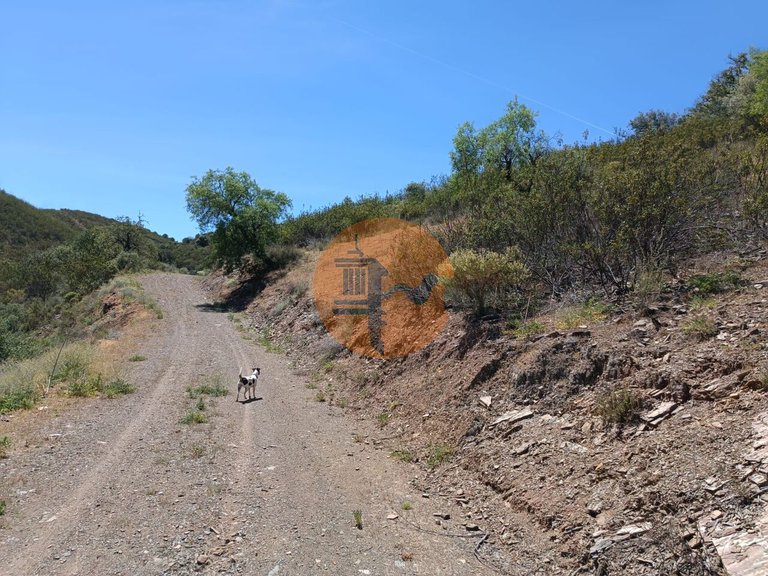 Plot for Sale in Azinhal, Castro Marim, Portugal 17