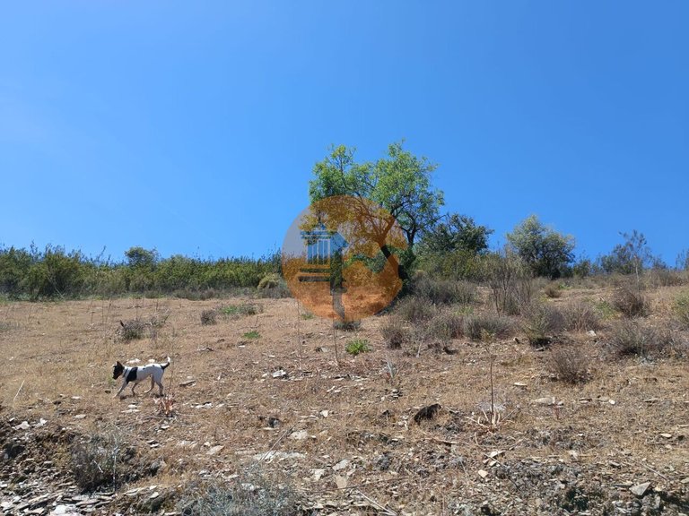Plot for Sale in Azinhal, Castro Marim, Portugal 20