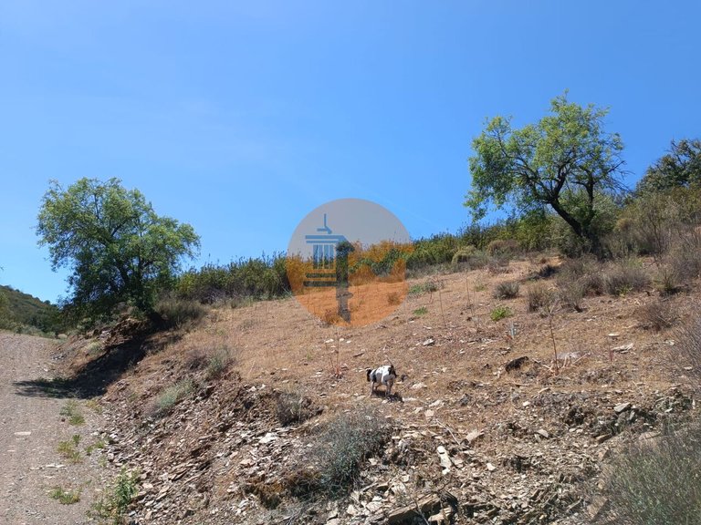 Plot for Sale in Azinhal, Castro Marim, Portugal 21