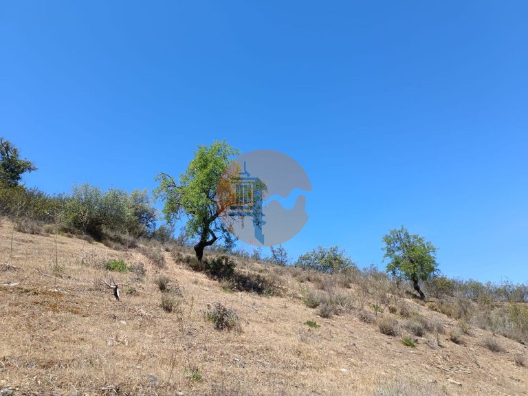 Plot for Sale in Azinhal, Castro Marim, Portugal 23