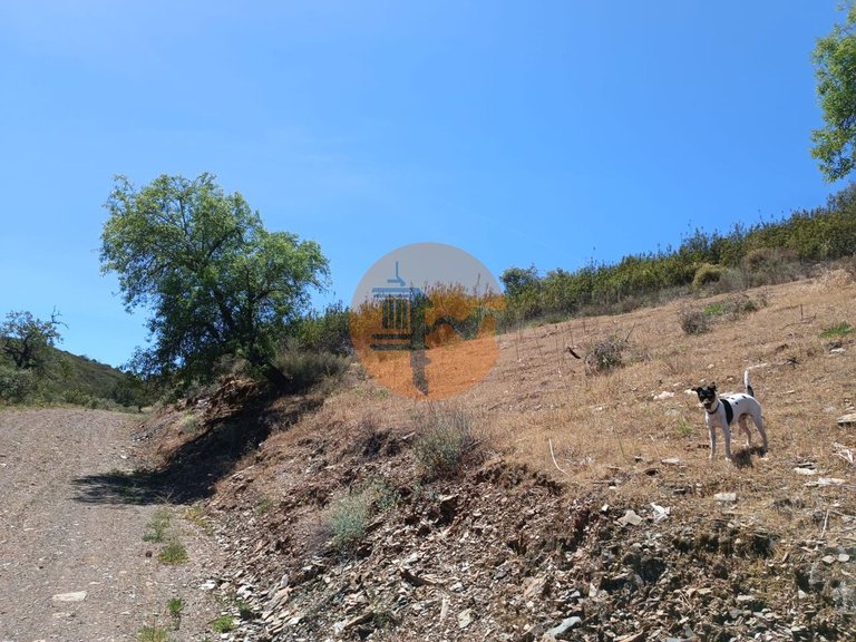 Plot for Sale in Azinhal, Castro Marim, Portugal 25