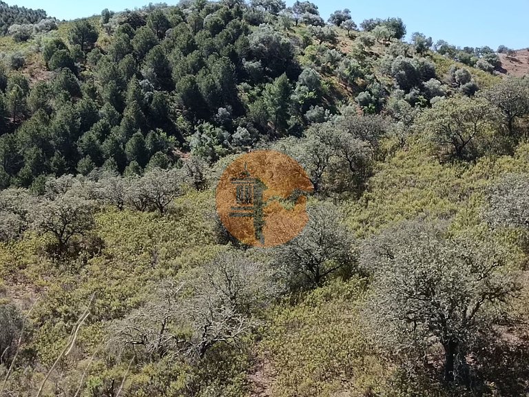 Plot for Sale in Odeleite, Castro Marim, Portugal 11