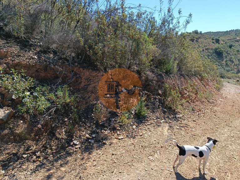 Plot for Sale in Odeleite, Castro Marim, Portugal 15