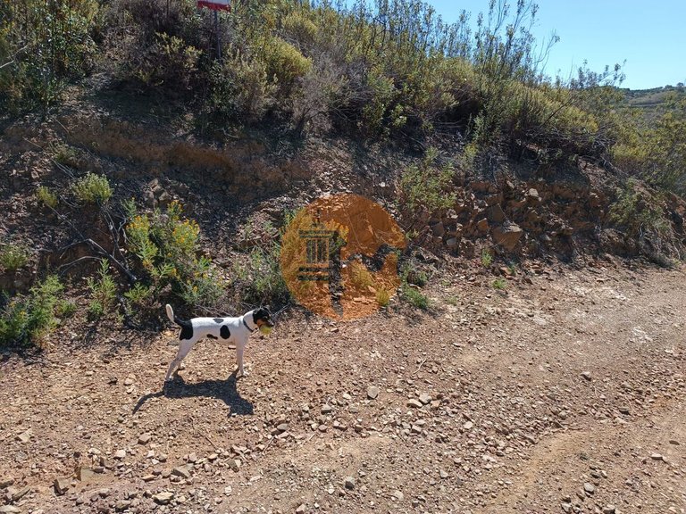 Plot for Sale in Odeleite, Castro Marim, Portugal 18