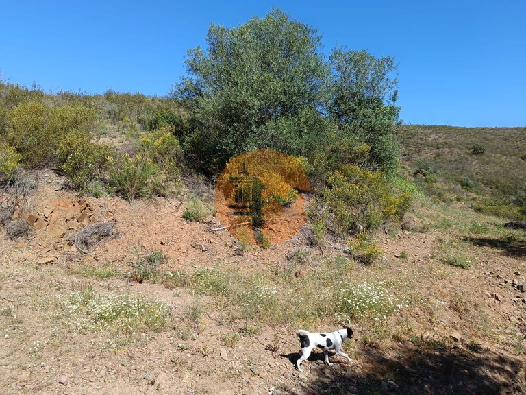 Plot for Sale in Odeleite, Castro Marim, Portugal 19