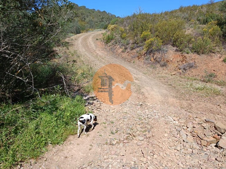 Plot for Sale in Odeleite, Castro Marim, Portugal 22