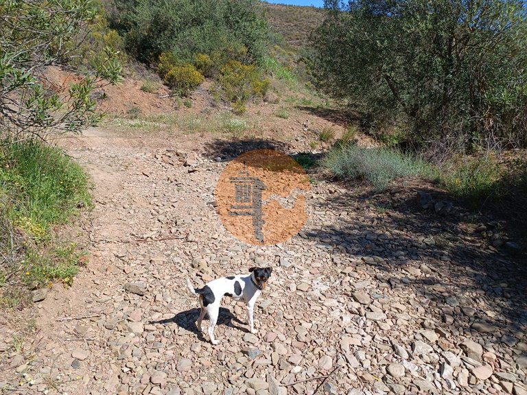 Plot for Sale in Odeleite, Castro Marim, Portugal 1