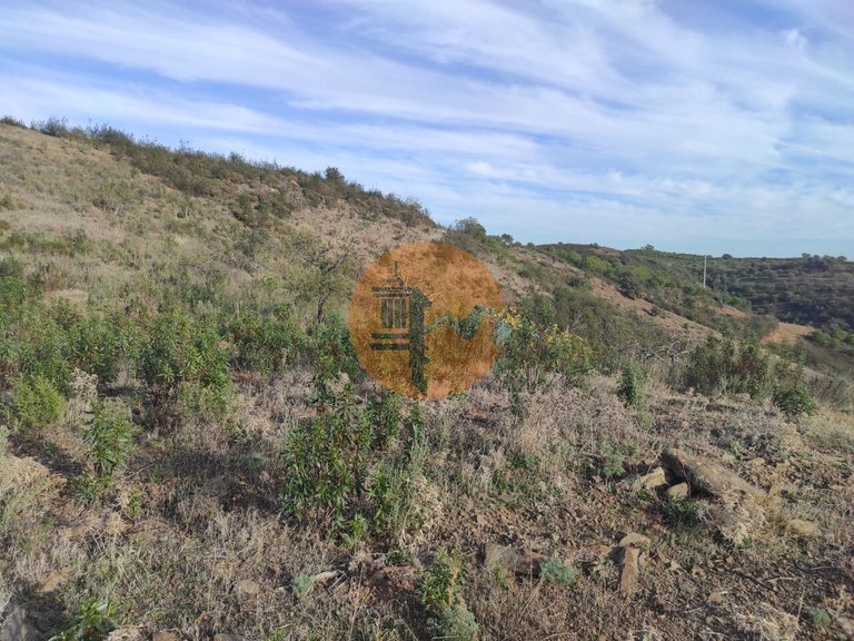 Plot for Sale in Odeleite, Castro Marim, Portugal 10
