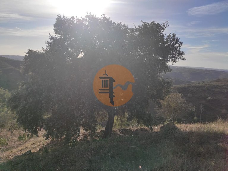 Plot for Sale in Odeleite, Castro Marim, Portugal 22