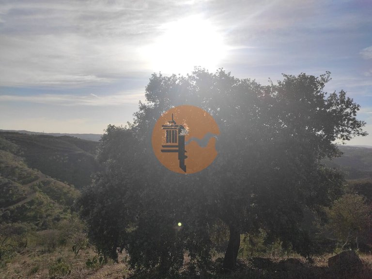 Plot for Sale in Odeleite, Castro Marim, Portugal 15