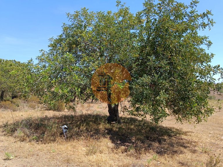 Plot for Sale in Odeleite, Castro Marim, Portugal 1
