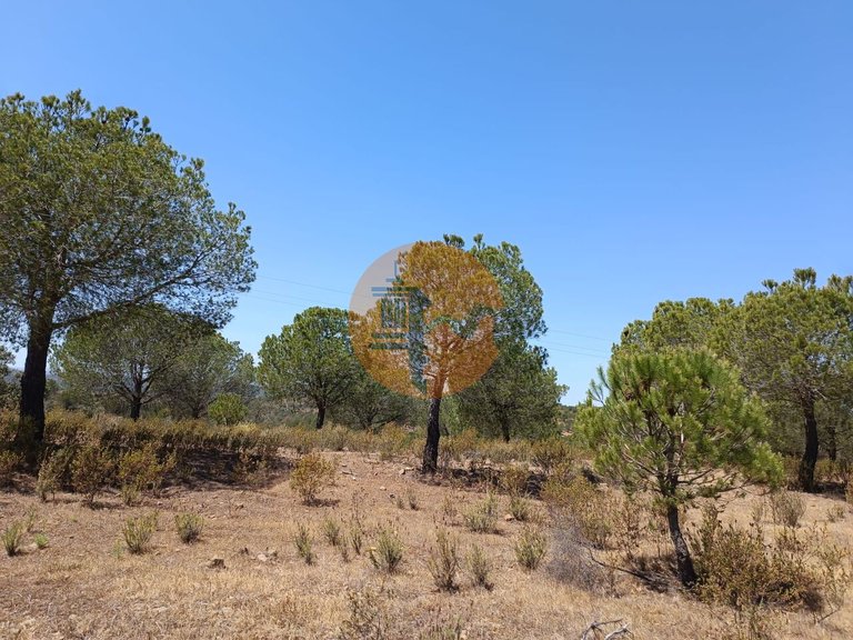 Plot for Sale in Odeleite, Castro Marim, Portugal 3