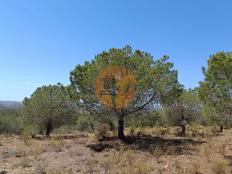 Plot for Sale in Odeleite, Castro Marim, Portugal 4