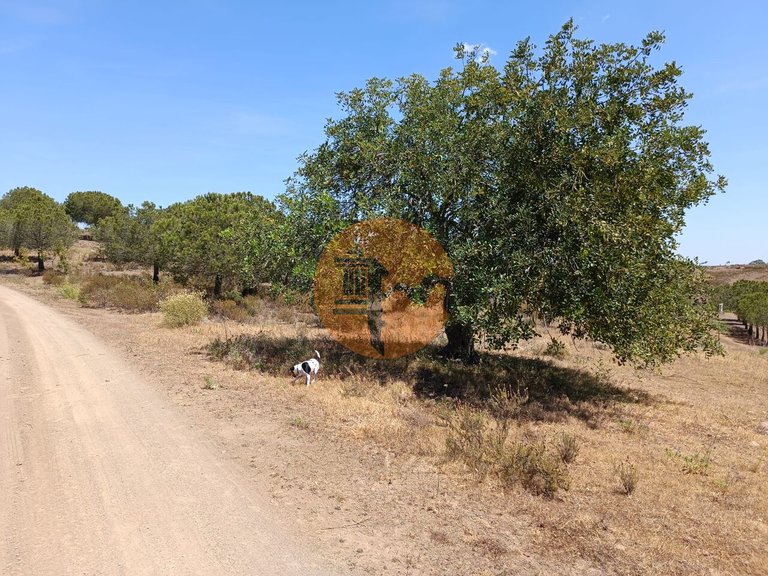 Plot for Sale in Odeleite, Castro Marim, Portugal 8