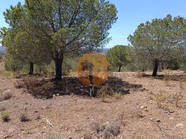 Plot for Sale in Odeleite, Castro Marim, Portugal 10