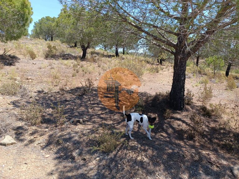 Plot for Sale in Odeleite, Castro Marim, Portugal 12