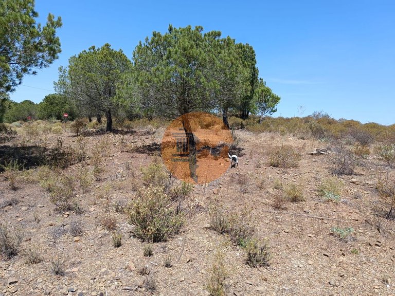 Plot for Sale in Odeleite, Castro Marim, Portugal 13