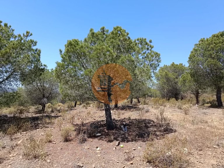 Plot for Sale in Odeleite, Castro Marim, Portugal 14