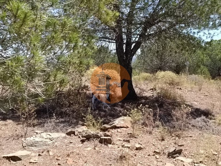Plot for Sale in Odeleite, Castro Marim, Portugal 22