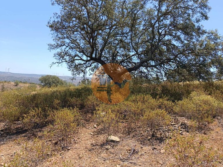 Plot for Sale in Odeleite, Castro Marim, Portugal 19