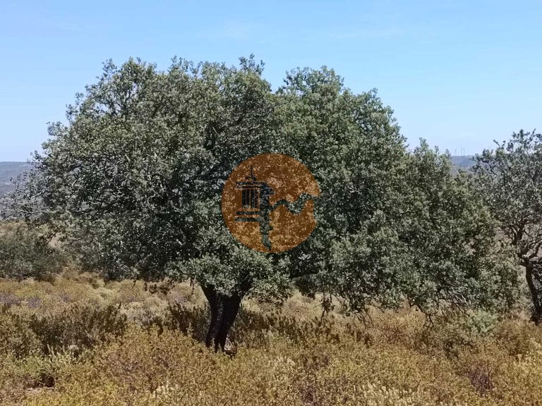 Plot for Sale in Odeleite, Castro Marim, Portugal 5