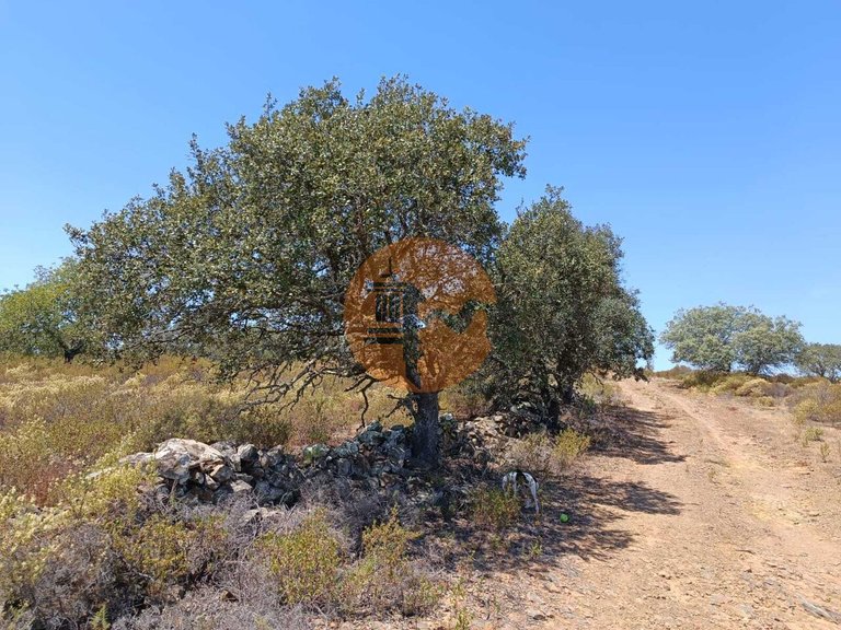 Plot for Sale in Odeleite, Castro Marim, Portugal 24