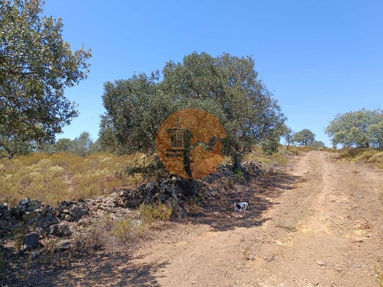 Plot for Sale in Odeleite, Castro Marim, Portugal 26