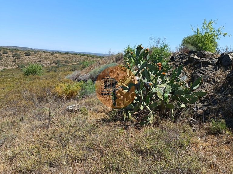 Plot for Sale in Odeleite, Castro Marim, Portugal 3