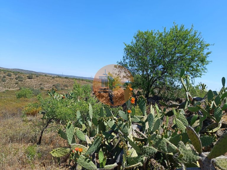 Plot for Sale in Odeleite, Castro Marim, Portugal 6