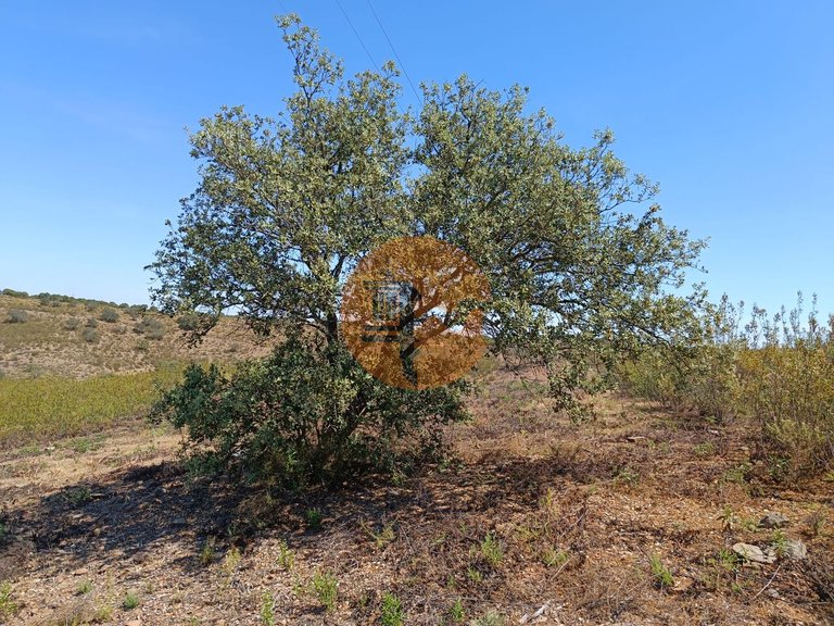 Plot for Sale in Odeleite, Castro Marim, Portugal 1