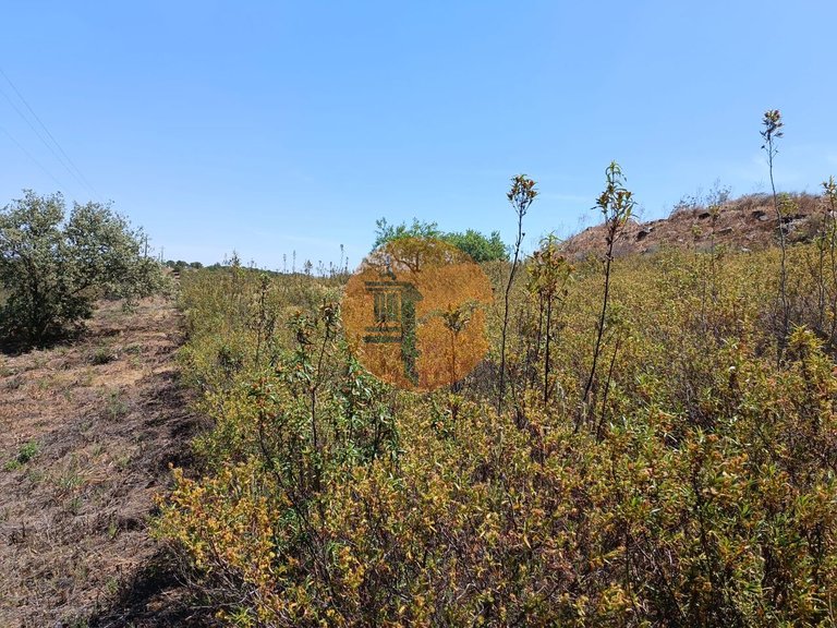 Plot for Sale in Odeleite, Castro Marim, Portugal 12