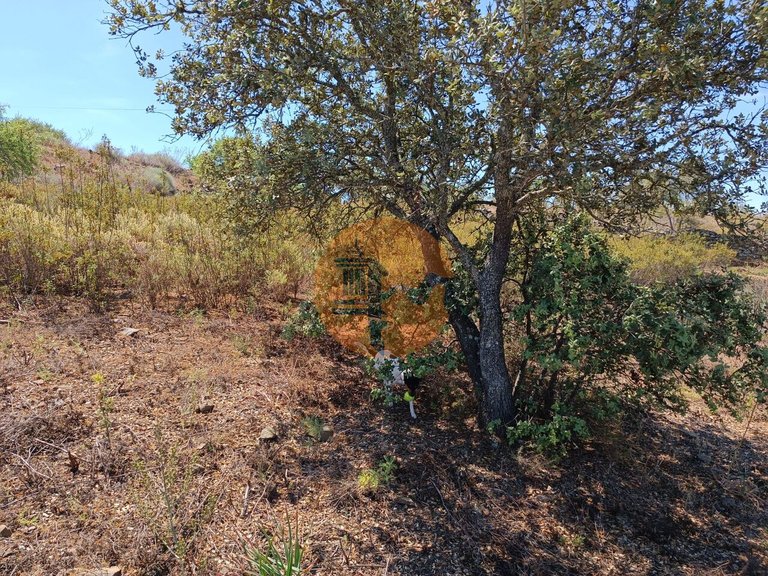Plot for Sale in Odeleite, Castro Marim, Portugal 13