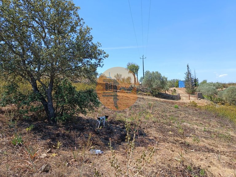 Plot for Sale in Odeleite, Castro Marim, Portugal 4