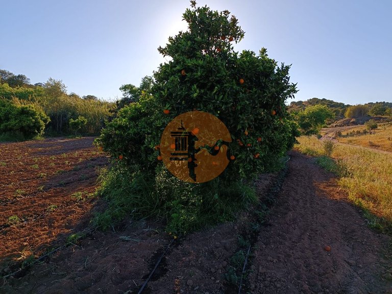 Plot for Sale in Castro Marim, Castro Marim, Portugal 13