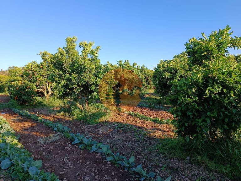 Plot for Sale in Castro Marim, Castro Marim, Portugal 14