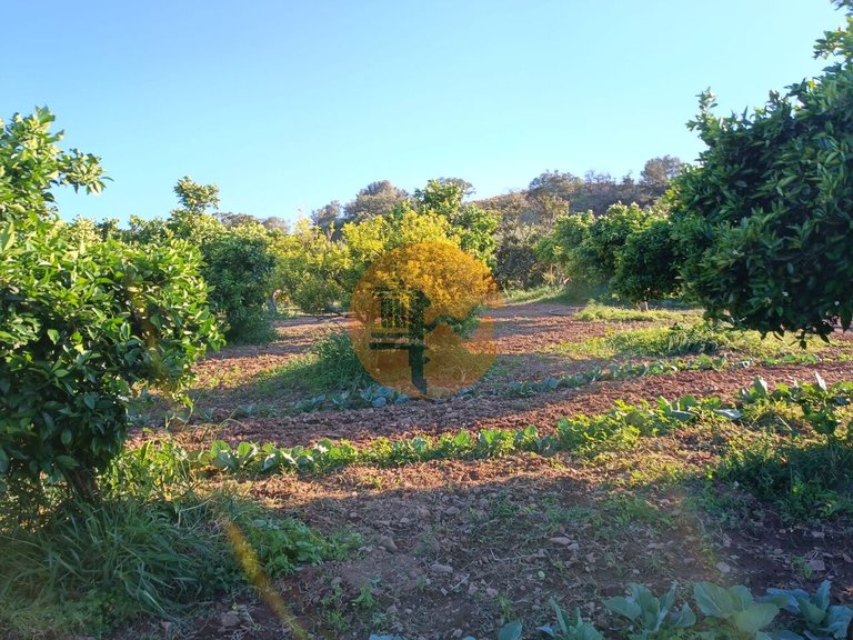 Plot for Sale in Castro Marim, Castro Marim, Portugal 15